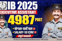 IB Security Assistant/Executive Bharti 2025 – योग्यता, चयन प्रक्रिया, सैलरी और आवेदन की पूरी जानकारी पढ़ें rewrite this text