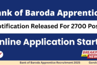 Bank of Baroda Apprentice Recruitment 2025